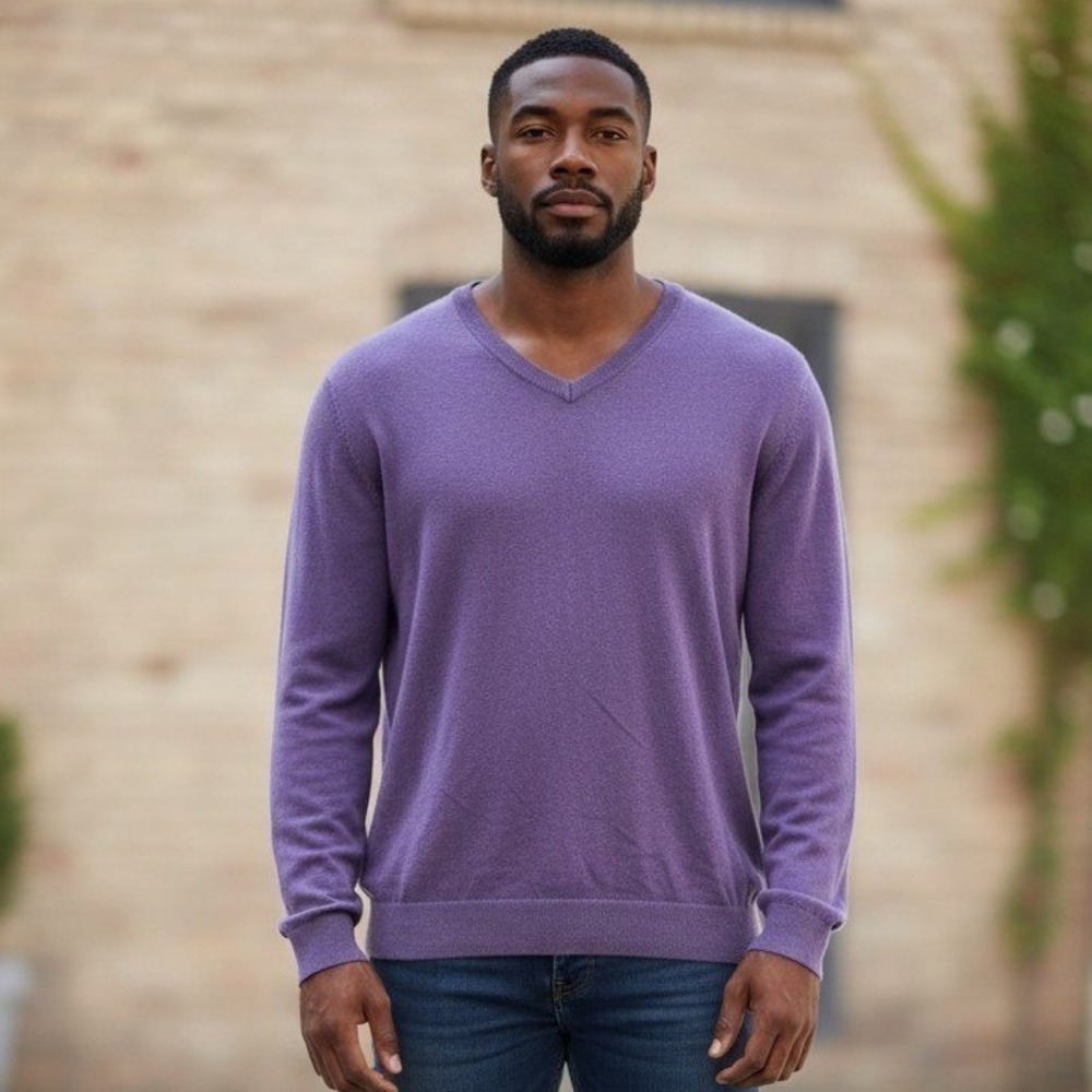 Daniel Cremieux Signature Collection Purple 100% Supima Cotton V-Neck Sweater XL